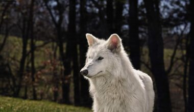 Functional De-Extinction is Changing the Genetics Field